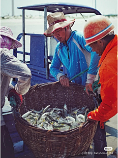 在河之洲i采集到海鲜