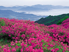 衎衎衎采集到风景