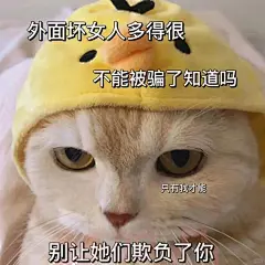 谁能拒绝小猫咪呢？可爱表情包分享 - 小红书