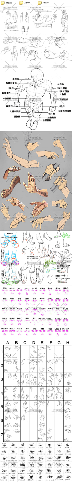 玩火尿炕采集到§R教学 —— 人体综合杂项