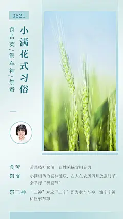简约风小满节气习俗知识科普