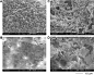 Fig. 6. FE-SEM (field emission scanning electron microscopy) images of the modified glass surfaces treated with RF-(VM-SiO2)n-RF/Ar-SiO2 nanocomposites prepared in methanol solutions (A and B) and in 1,2-dichloroethane solutions (C and D). Sol–gel conditi