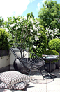 My Acapulco Chair in the sun ...: