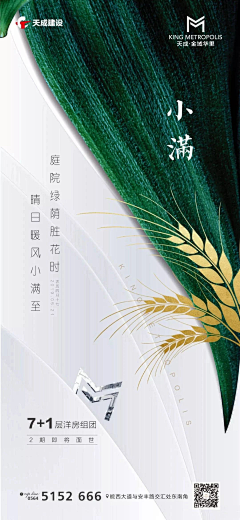 青芒0915采集到小满