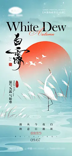 白露节气海报