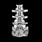 This posterior (from the back) view of the lumbar spine from a 3D reconstruction following spiral CT acquisition shows the anatomy of the posterior elements of the spine. You can clearly see the spinal lamina, spinous processes, transverse processes and t