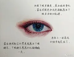 【眼睛的手绘教程】（投稿：@婲默 ​）    
  工具：马可雷诺阿48色油性彩铅 
             获多福细纹水彩纸 
             三菱高光笔
             梵高水彩 ​ ​​​​