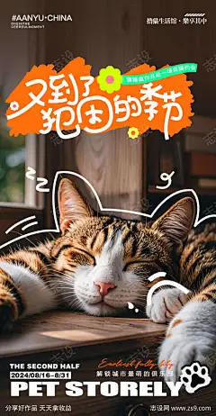 宠物宠爱猫咪海报_源文件下载_PSD格式_1080X2080像素-可爱,猫咪,爱宠-作品编号:2024080411463939-志设-zs9.com