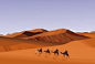 扁平矢量沙漠骆驼风景插画中东阿拉伯旅游沙丘戈壁骆驼插图AI设计素材