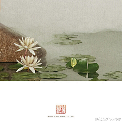 味道有点怪采集到中式/所有