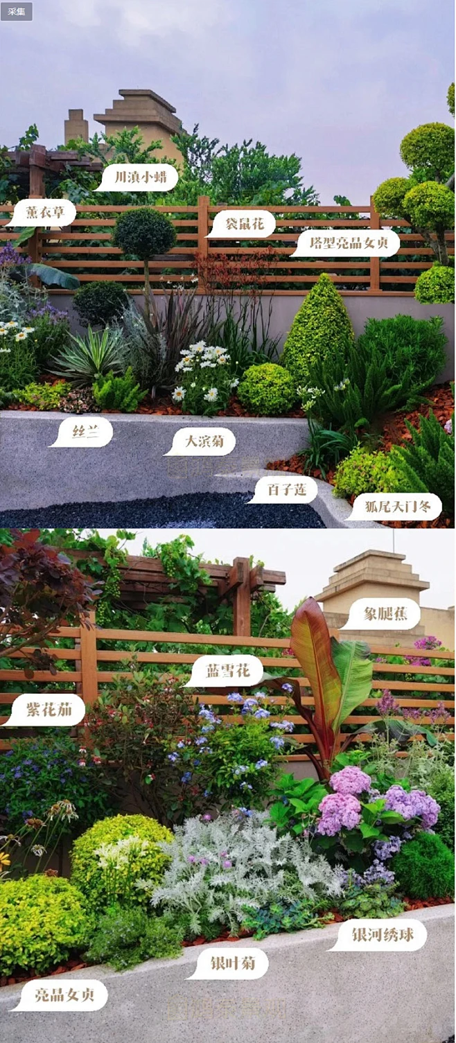2022花境植物组团配置带名称园林景观铺装材料植物配置方案实景图--花瓣网