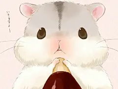 这只小仓鼠名叫hamham，就是称霸亚洲表情包的那只 画师名叫【仮名ゆたか】此外一切信息不明，所有发表的作品全是仓鼠！ ​​​​