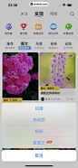 墨迹天气 App 截图 266 - UI Notes