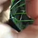 Knight悠