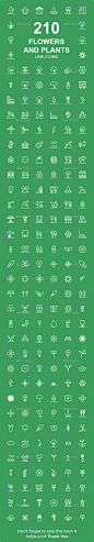 210年花,公园,自然,植物,树木行图标——网络图标210  Flowers, Parks, Nature, Plants, Trees line icons - Web Icons生物学、bug、蝴蝶、云、云计算、生态、花,鲜花,森林,水果,gerberaflower,绿色,叶子,树叶,蘑菇,自然,自然,棕榈,公园,松树,植物,植物,河流,太阳,向日葵,树,蔬菜,天气,风,木 biology, bug, butterfly, cloud, cloud computing, ecology, flower