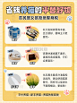 铲屎官萌宠宠物养猫好物安利黄色简约小红书
