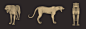 Leopard anatomy study