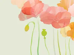 阳光温淡，岁月静好，时光在这里停泊，只愿此生就这样慢慢老去。