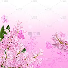 风信子,蝴蝶,抽象拼贴画,粉色,自然,合成图像,无人,抽象,古典式,周年纪念