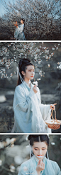 玉骨那愁瘴雾，冰姿自有仙风。<br/>