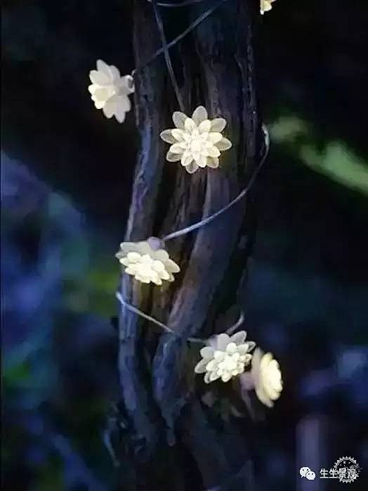 景观灯