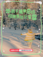 活动｜原来这个冬天❄️还能这么过