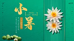 清凉一夏小暑海报展板