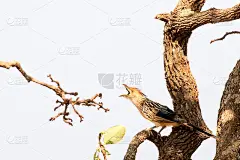 我回来了……