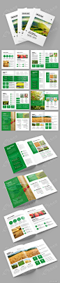 绿色农产品宣传册模板图片
