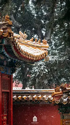 故宫 - 堆糖，美图壁纸兴趣社区
