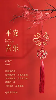 喜庆新年春节实景复古中国结祝福贺卡海报
