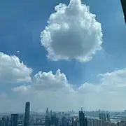 夏大癫