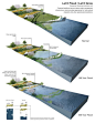 超漂亮的滨水岸线剖面分析图，持续更新ing~-创意图库-设计e周