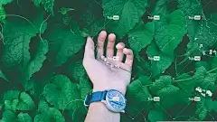 美丽的 花壁纸 特写 颜色 花卉背景 时尚 自然 植物群 花