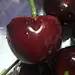rYXg4mFi