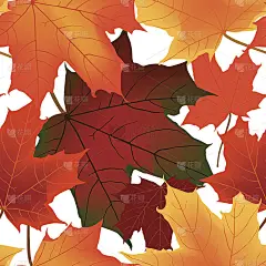 秋叶可贴墙纸。秋天的模式
