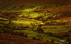 精美图片唯美深秋电脑高清壁纸桌面壁纸3