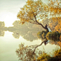 Tell them I'm happy.. by Khomenko