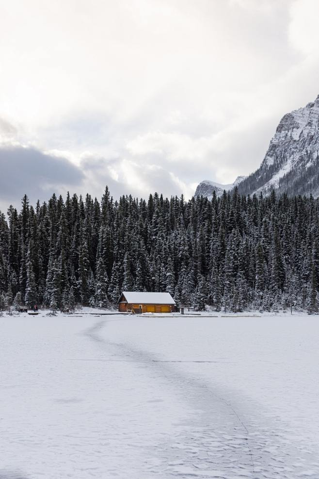 cabin in the middle ...