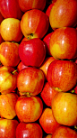 【苹果】美食水果 。60000张优质采集：优秀排版参考 / 摄影美图 / 视觉大片提升审美。@Javen金