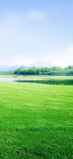 餐饮休闲饮品果茶杨梅巨物实景全屏竖版海报 _设计页－稿定设计