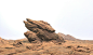 myeong-sup-kim-desert-rock-marmoset-01.jpg (1919×1133)