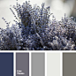 colour combination for repair, colour palette for a winter wedding, dark blue-gray, dark gray, gray and violet, gray beige, gray-lilac, light gray, light violet colour, monochrome shades of gray, pale Persian blue, pale silver colour,