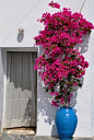 House entrance in Sifnos island: 