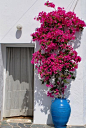 House entrance in Sifnos island: