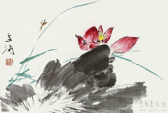 Cken____采集到国画