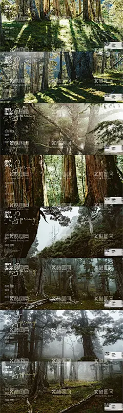 地产森林系列海报  - 源文件下载【酷图网】海报,房地产,森林,山居,神秘,养身,阳光,大树,系列,