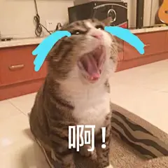 喵星人表情包 分享给你们～ ​​​​#搞笑# ​​​​