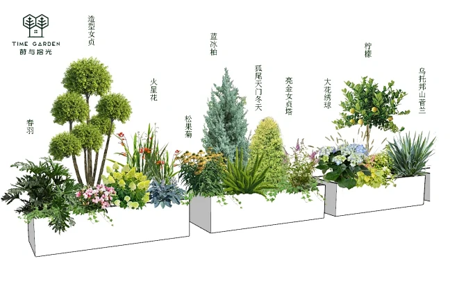 阳台花箱植物设计搭配 植物组合定制-花瓣网