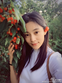 鸦雀儿采集到王媛可